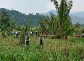 Fenagh pide proceder legalmente ante las invasiones de propiedad privada