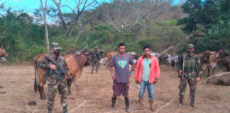 El Ejército de Nicaragua detiene a 7 hondureños por traslado ilegal de ganado