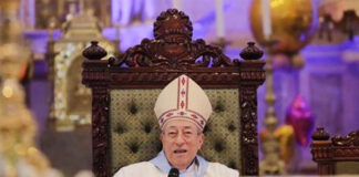 Cardenal pide apoyo para presidenta y dice “todo reino dividido perecerá”