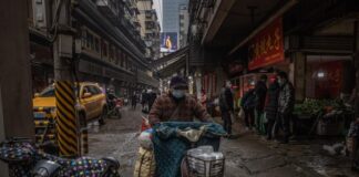 La OMS asegura que sigue investigando el origen de la covid-19 en China