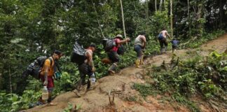 Número de migrantes que cruzaron el Tapón del Darién en enero se cuadriplicó