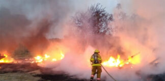 ONU insta a la acción colectiva contra incendios forestales
