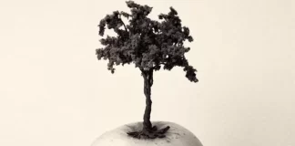 Miami descubre en una exhibición fotográfica las «Miradas de Asturias»