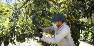 Latinoamérica, de la crisis a la oportunidad tras un año de guerra en Ucrania