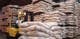 Ingresos por exportaciones de café bajan 27 % en cuatro meses de cosecha 2022-2023