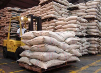 Ingresos por exportaciones de café bajan 27 % en cuatro meses de cosecha 2022-2023