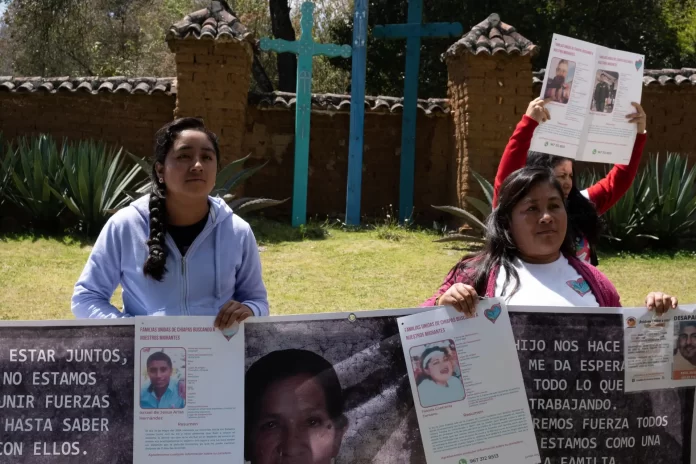colectivos MX