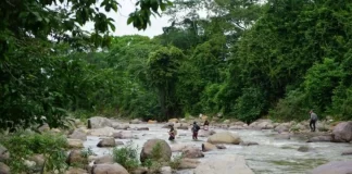 Unión Europea se une a condena por asesinato de defensor Benigno Maldonado