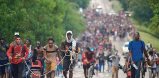 Empresarios piden a Gobierno plan de ingreso de migrantes en sur de México