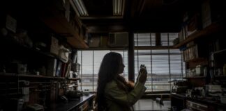 El 44 % de iberoamericanas con estudios superiores se dedica a la ciencia