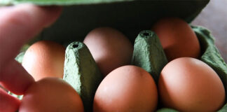 Baja el precio de los huevos después de un aumento anual de 60 %