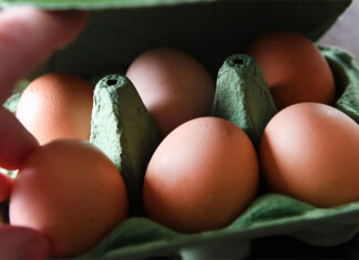 Baja el precio de los huevos después de un aumento anual de 60 %