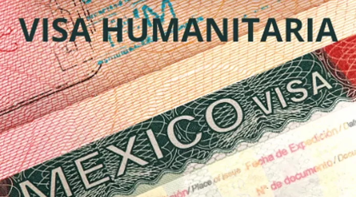 Familiares de hondureños heridos en incendio piden apoyo para visa humanitaria