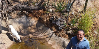 Ambientalistas protegen un oasis en el sur de México en medio de la sequía