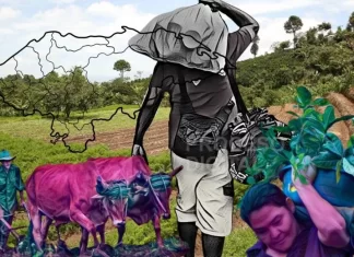 Agroindustriales temen desaparecer, la migración les arrebata mano de obra