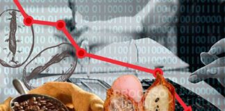 Precios bajos, plagas y más impuestos amenazan a caficultores