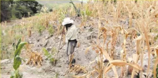 Google amplía su sistema de alertas por inundación a 80 países, 60 más, entre ellos Honduras