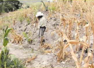 Fenagh recomienda priorizar 34 municipios y que se active comité de emergencia por sequía