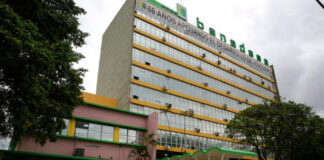 Prograno: Requisitos de Banadesa reducen oportunidades en agro