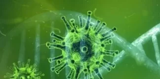 Acusan a 2 hermanos de estafar 2.5 millones en ayudas por COVID-19 en Florida