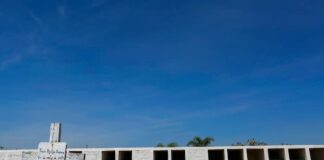 Mexicanos que buscan a desaparecidos impulsan base de datos de fosas comunes