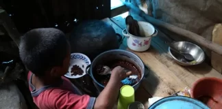 Al menos tres de cada 10 niños hondureños menores de cinco años sufren malnutrición