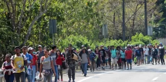 Migración, criminalidad, pobreza y desempleo; el viacrucis de los hondureños