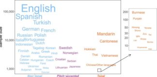 Hablar una lengua materna tonal afina la capacidad melódica