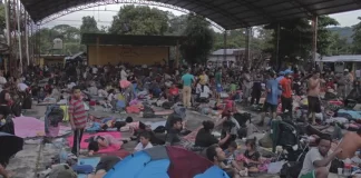 Honduras encabezó solicitudes de asilo en México con el 26 % durante 2022