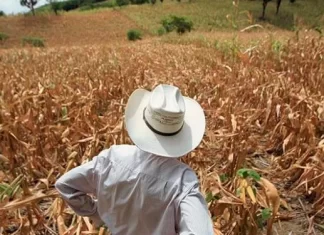 La inseguridad alimentaria aguda llegó a 18 millones en Latinoamérica en 2022