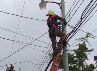 En agosto espera la ENEE asumir la responsabilidad del mantenimiento y operación de la red de distribución