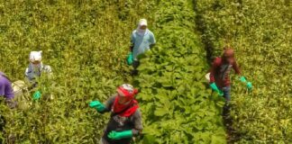 Cohep advierte riesgo de perder 100 mil empleos en la zona sur