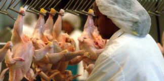 China próxima a aprobar protocolos para exportar carne de res y de pollo desde Honduras
