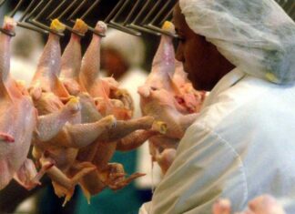 China próxima a aprobar protocolos para exportar carne de res y de pollo desde Honduras