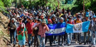 OIM y ACNUR piden a Latinoamérica ampliar los procesos de regularización de migrantes