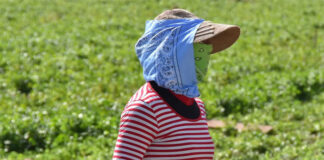 Agricultores y migrantes indocumentados enfrentan el mortal calor en Arizona