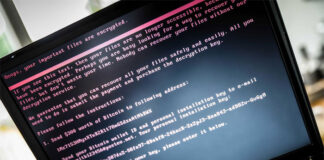 Ciberdelitos costaron a los floridanos 844 millones de dólares en 2022