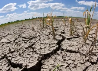 El SICA y la FAO llaman a unir esfuerzos y a movilizar recursos para el Corredor Seco