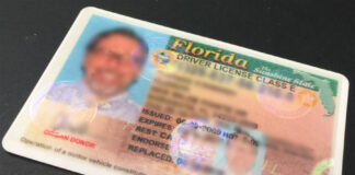 Florida pide investigar emisión de permisos de conducir comerciales tras accidente mortal