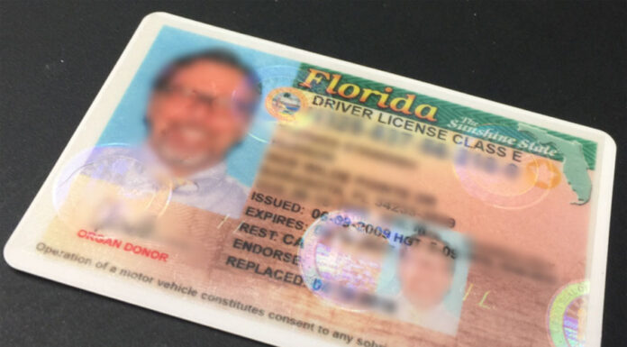 Florida recuerda a los indocumentados que no reconoce derecho a licencias de conducir