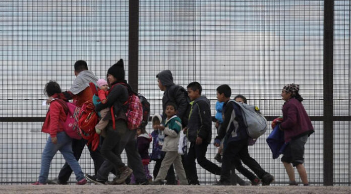 Una traductora humaniza la experiencia migrante en EEUU a través del lenguaje