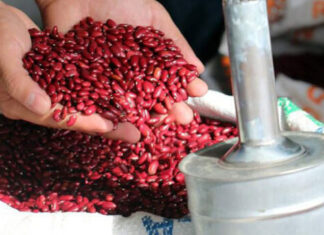 IHMA tiene almacenados 30 mil quintales de frijoles y 33 mil de maíz