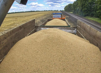 La ONU acusa a Rusia de poner en riesgo la seguridad alimentaria en el mundo en desarrollo