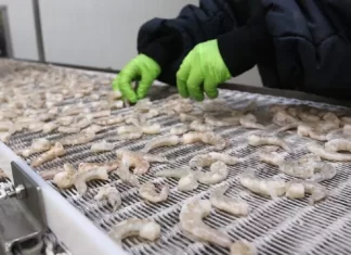 Camarón se está vendiendo por la mitad del precio que daba Taiwán