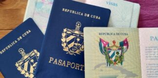 Congresista de EEUU urge a Trump el regreso de la madre de una bebé deportada a Cuba