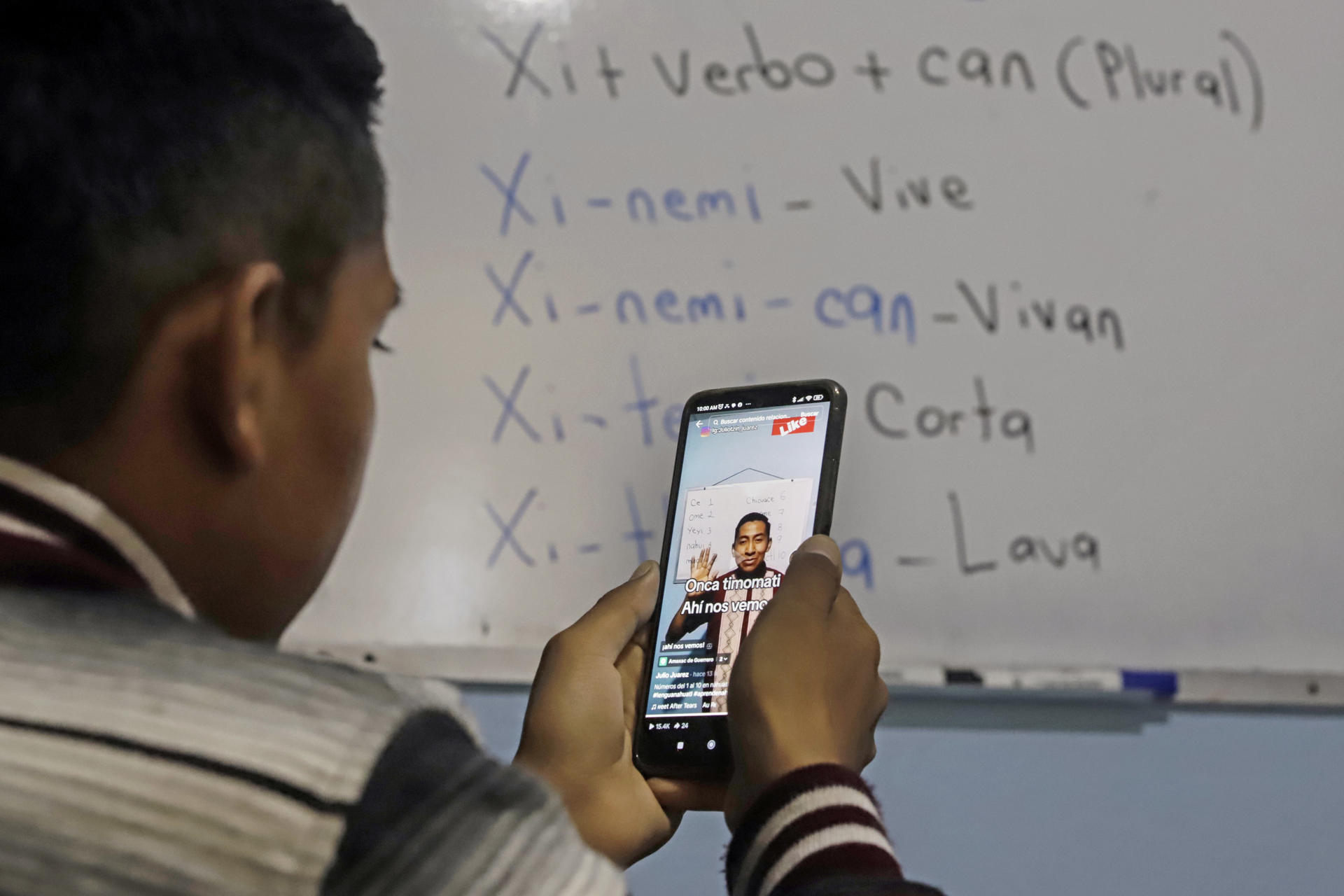 El profesor mexicano Julio Hernández Juárez observa un video suyo en su perfil en la red social Tik Tok, durante una entrevista con EFE el 14 de julio de 2023, en la ciudad de Tlaxcala (México). EFE/ Hilda Ríos
