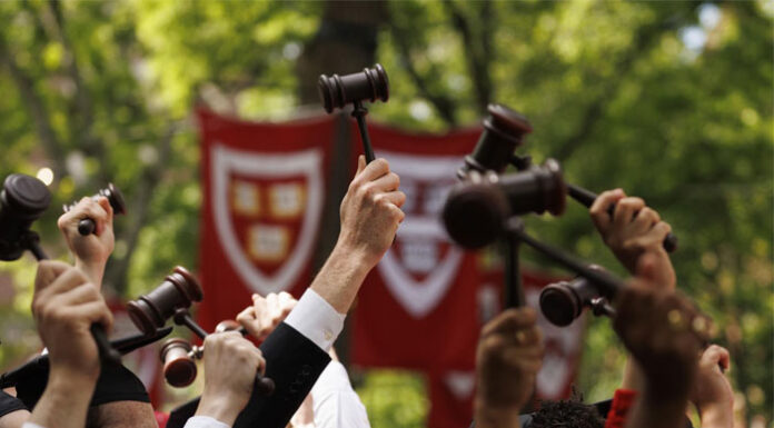Universitarios indocumentados celebran las nuevas matrículas rebajadas en Arizona