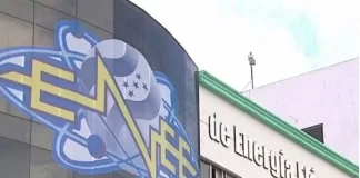 Economista dice que Gobierno debe dejar de ver a la ENEE como una secretaría de Estado