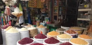 Se proyecta cosecha de primera de 1.8 quintales de maíz y 850 mil quintales de frijol