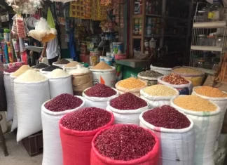 Se proyecta cosecha de primera de 1.8 quintales de maíz y 850 mil quintales de frijol